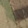 Multicam