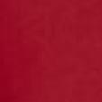 Scarlet Red