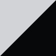 Silver/Black