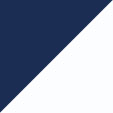 True Navy/White