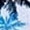 Blue White Palm